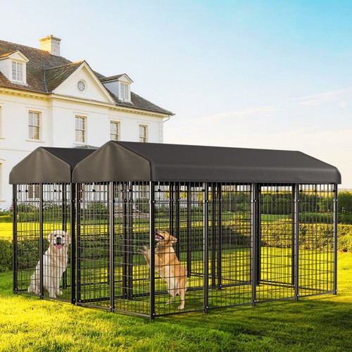 Xxl large dog - large, kennel