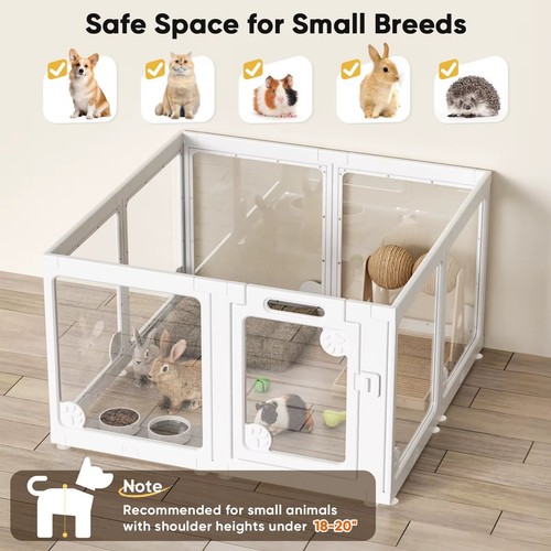 Clear acrylic dog - acrylic,