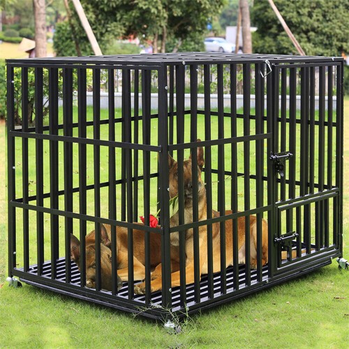 Xxl heavy duty - heavy, dog