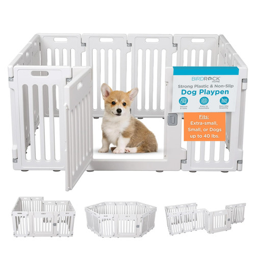 Birdrock home 11968 dog - birdrock,