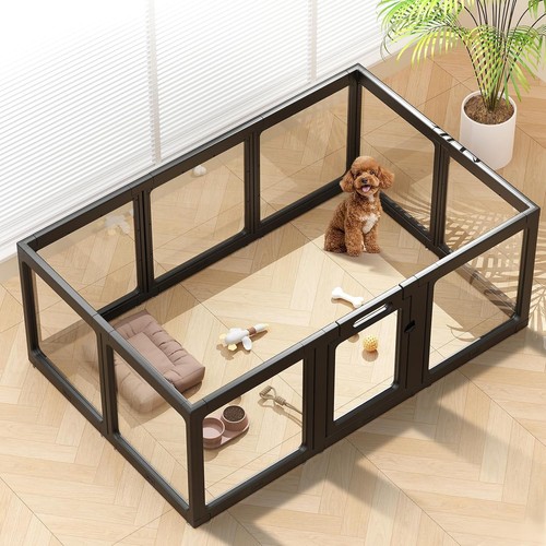 Climbhope clear acrylic dog - acrylic,