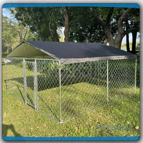 10x10 large dog - 6.56/10x10,